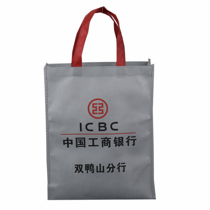 non woven bags 31 705x705 - Eco Shopping Bags