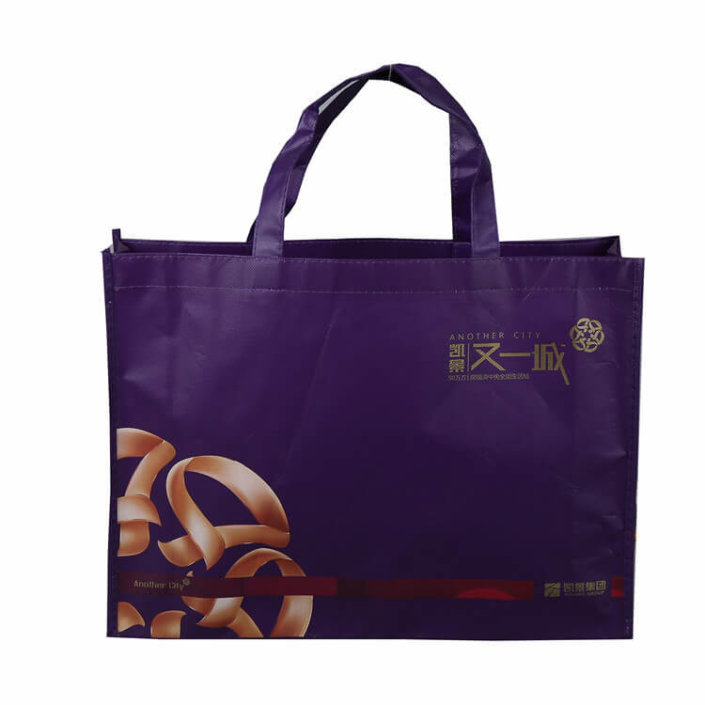 non woven bags 9 705x705 - Eco Shopping Bags