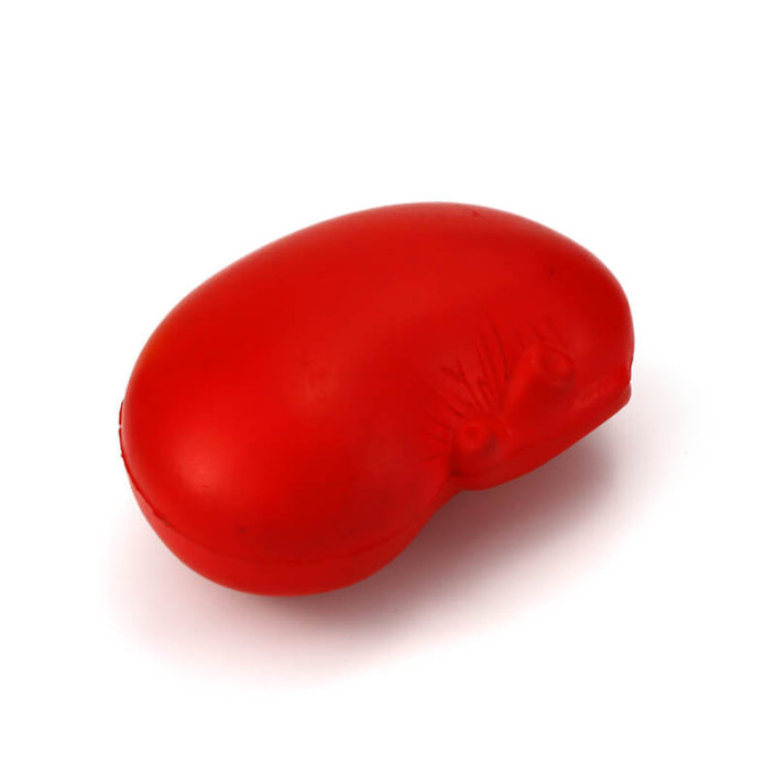 Kidney 5 705x705 - Stress Ball, Games and Toys
